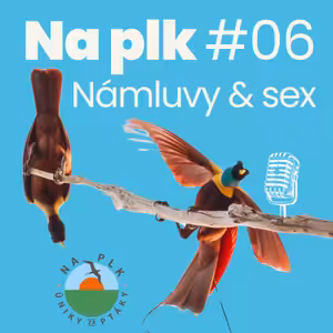 Na plk #06: Námluvy & sex