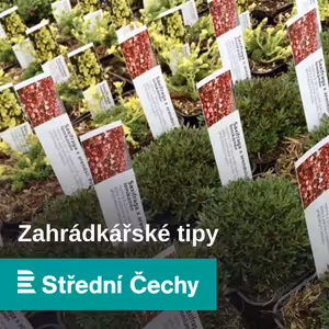 Zahrádkářské tipy