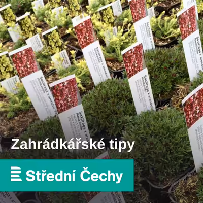 Zahrádkářské tipy
