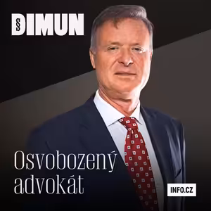 Advokát Grubner o podjatých žalobcích a škodě 55 milionů