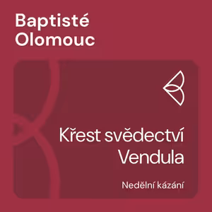 Křest svědectví Vendula (26.6.2022)