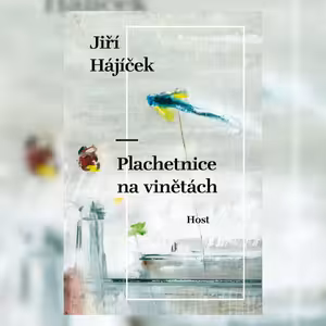 Plachetnice na vinětách