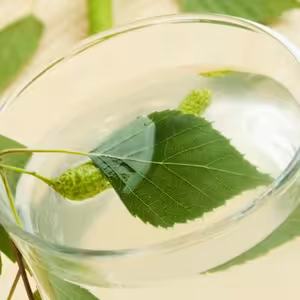 Jarní očista těla: Podpora jater - Tchaj-ťi a zdraví