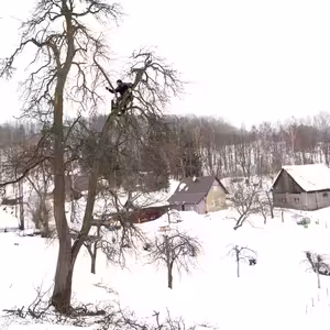 #24: Termín řezu ovocných stromů