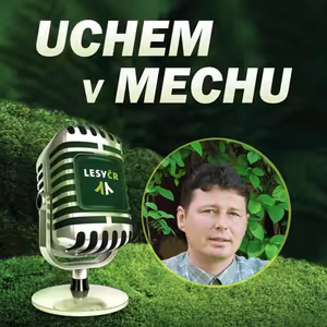 O větrolamech s Janem Dovrtělem z Lesního závodu Židlochovice