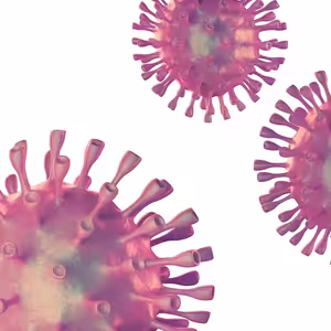 Koronavirus a jeho dopad