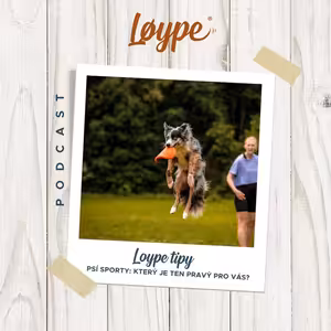 123 | Psí sporty: Který je ten pravý pro vás? | Loype tipy