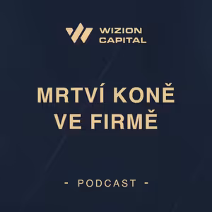 Co táhne vaši firmu ke dnu?