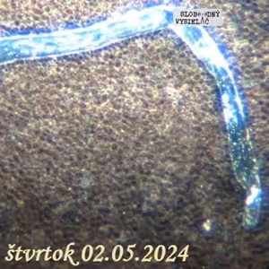 Spirituálny kapitál 512 - 2024-05-02 „Yesmani, disidenti a tri apokalyptické ropuchy“