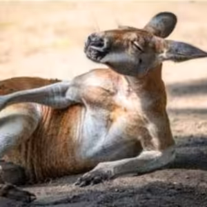 Ep96- "Bonus: Miloslav Švandrlík - Pohádky pro Vendulku"