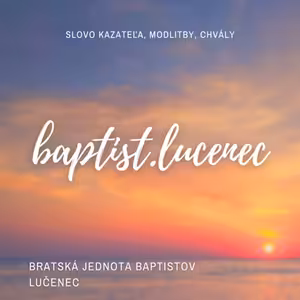 Pavol Šinko - Rozhodovanie