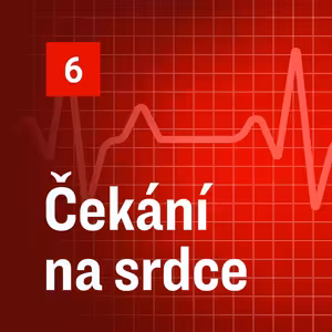 Epizoda šestá: Transplantace