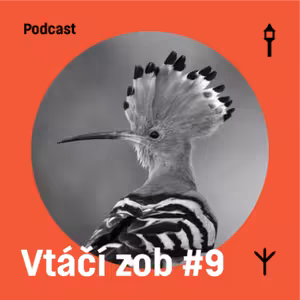 Vtáčí zob #9 — Dudok chochlatý (Samuel Sabol, Jakub Lenart)