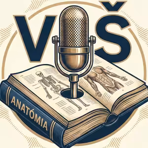 VŠ Anatómia | Podcast (nielen) pre študentov