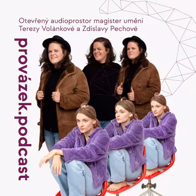 Divadlo Husa na provázku #prvzk.podcast