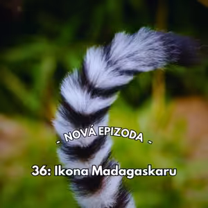 36: Ikona Madagaskaru