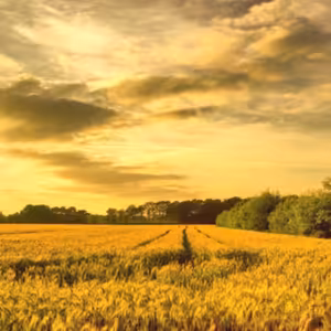 Dopoludnie na Infovojne s Adrianom 15.8.2024