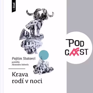Alexandra Salmela o preklade knihy Krava rodí v noci (Pajtim Statovci)