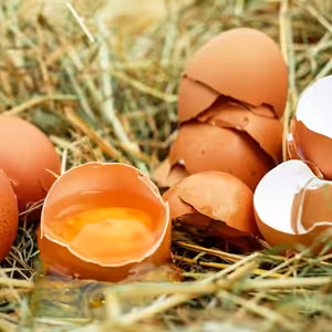 Dáváte z lenosti skořápky zpět do plata? Zbytečně riskujete zdraví