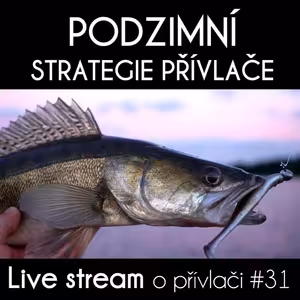 Přívlač Live #31 - Aktuální Podzimní Strategie Lovu