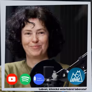 Vše kolem hárání feny a krytí