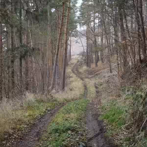 Vesnicopis #10 Z Klatov do Švihova