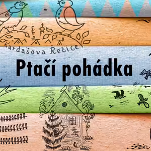 Ptačí pohádka