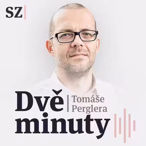 Tomáš Pergler: Zeman v příslušných mezích. Zeslábl i politicky