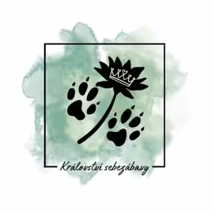 Utíkej tygře, utíkej…