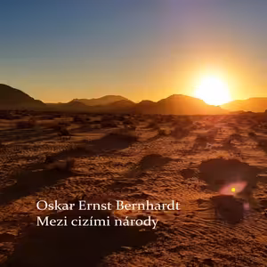 Mezi cizími národy - XXII - Rub al Chálí