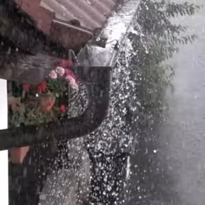 Vlákna Stvoření – živé vysílání