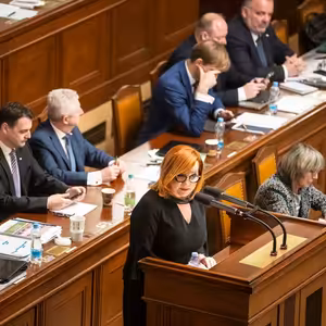 Ceny paliv vláda reguluje hlavně na efekt. Kritika opozice však není úplně oprávněná