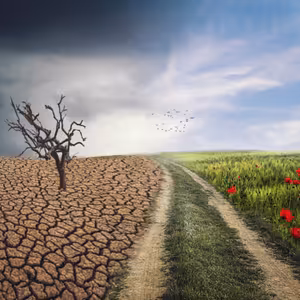 Hovoríme, že zmena podnebia nás zaujíma viac než životy celebrít