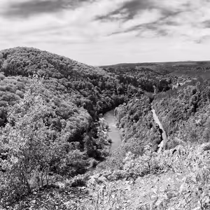 David Vopřada: Třeštibok