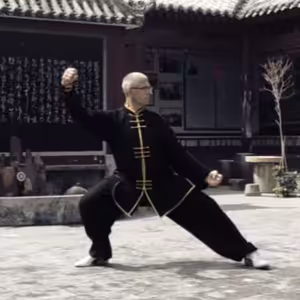 Radek Kolář - "cesta Tchaj-ťi" - Mistr a žák