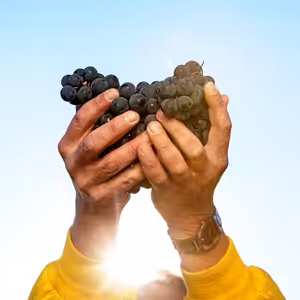 Poděkujme Bohu za jeho dary