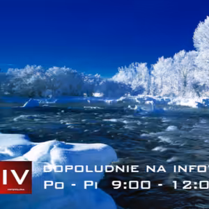 Dopoludnie na Infovojne s Adrianom 29.1.2024