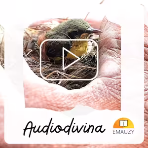 Audiodivina