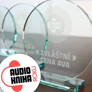 Zvláštní cena AVA