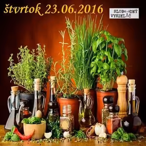Motorové myši 75 - 2016-06-23 ako využiť sezónne dary prírody, recepty a praktické rady (32kb)
