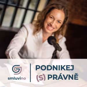 S5 Ep9: Licence v podnikání