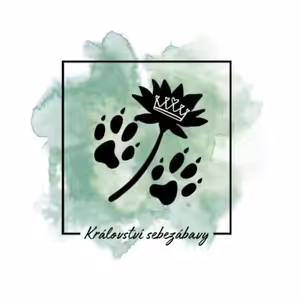 Who let the orcas out