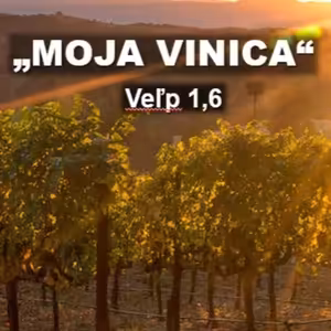 "Moja vinica"