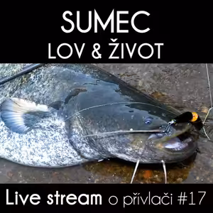 Přívlač live #17 Jak ulovit sumce a jeho život