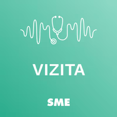 Vizita