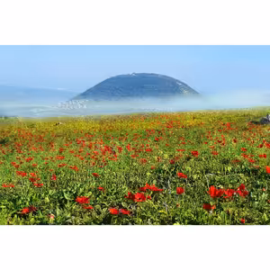 Ak chceme mať krajšiu tvár, očistime si dušu