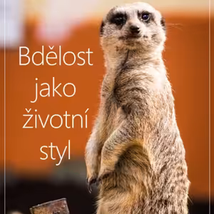 Bdělost jako životní styl