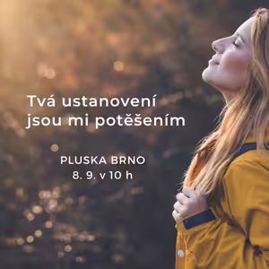 Tvá ustanovení jsou mi potěšením