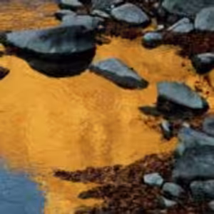 HOROSKOPY: Blíženci, potřebujete ze vztahu vyhnat stereotyp. Hledejte nové možnosti