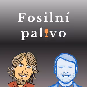 Fosilní palivo